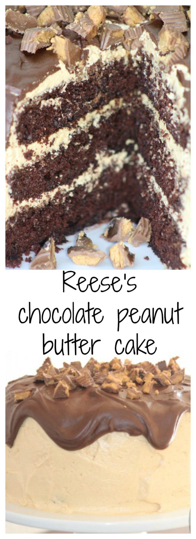 Reese's chocolate peanut butter cake
